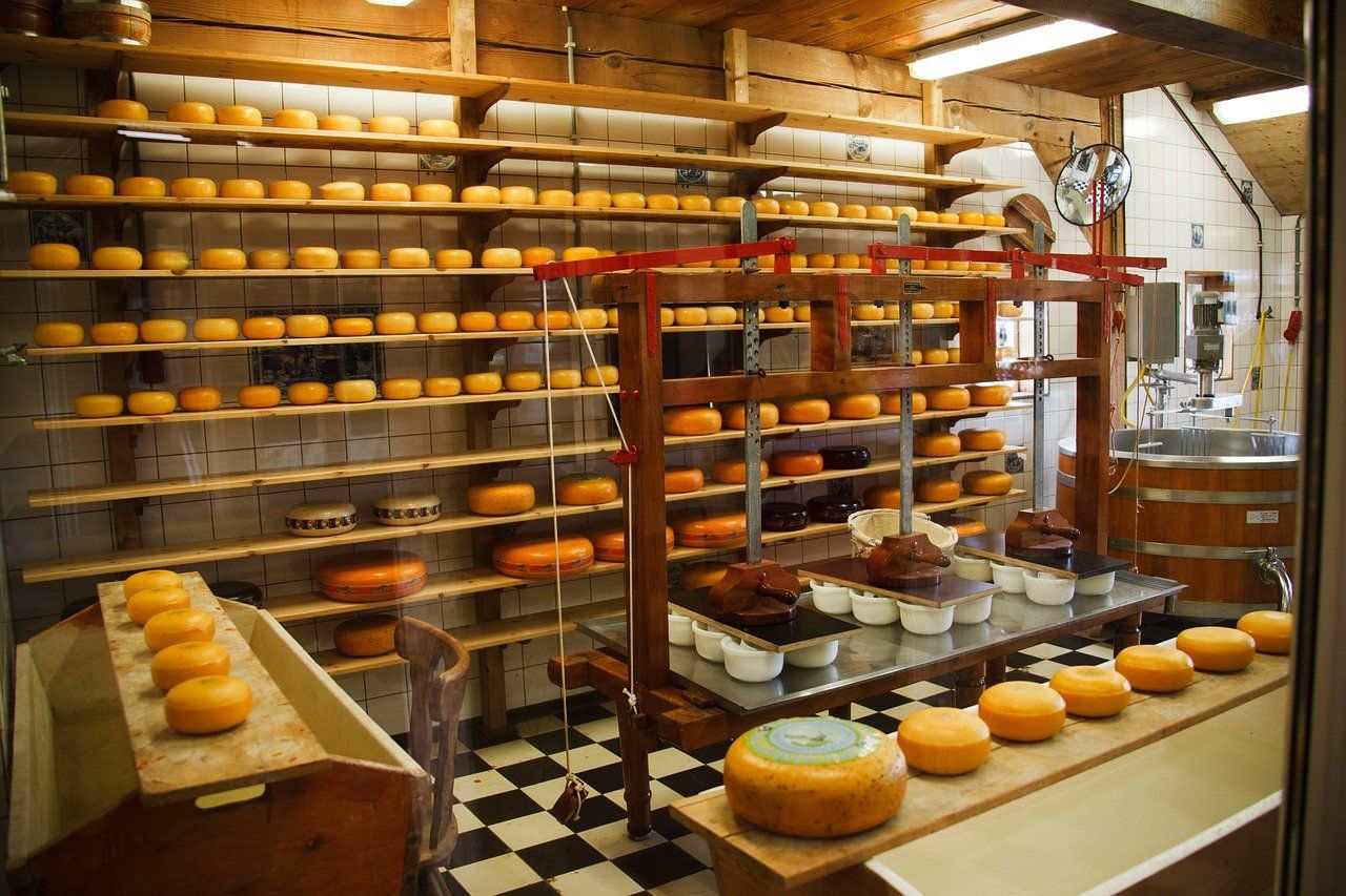 Cheese wheels stored in Cheese factory using HACCP based RMP with latest codex updates 2020