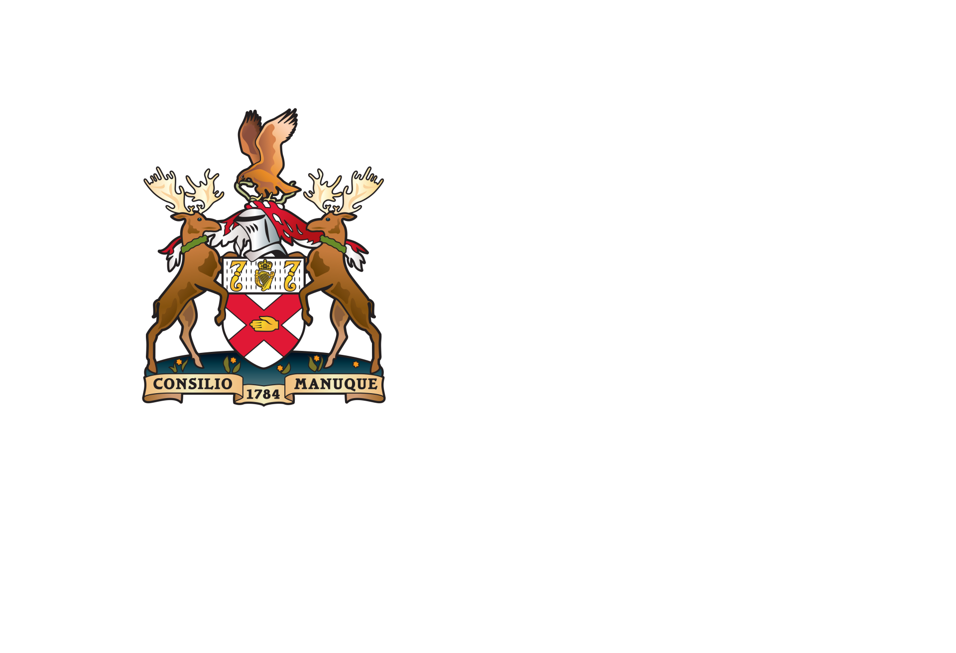 Royal College of Surgeons in Ireland (RCSI) University of Medicine and Health Sciences