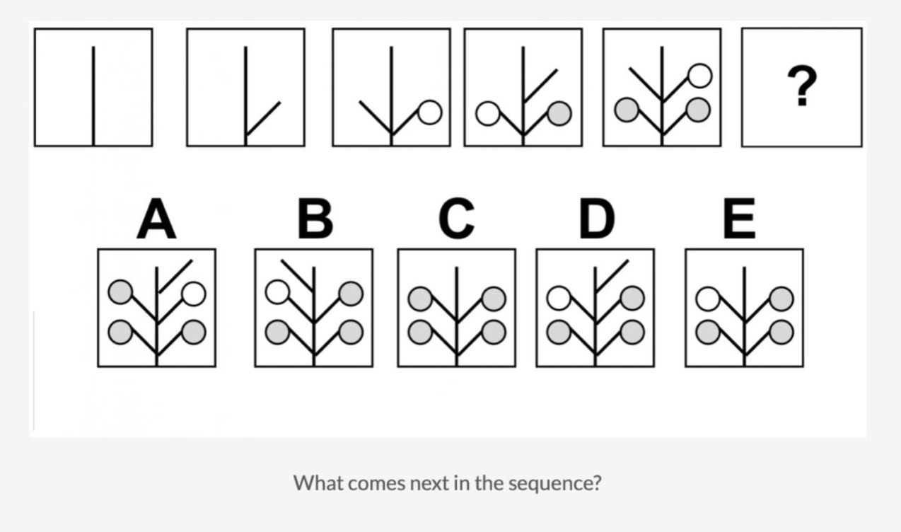 logical reasoning test