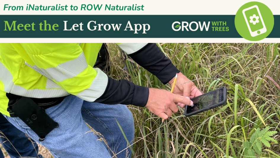 VM crew using Let Grow app for right-of-way plant identification