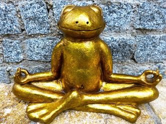 Goldene Frosch Statue in Yogaposition in der Natur