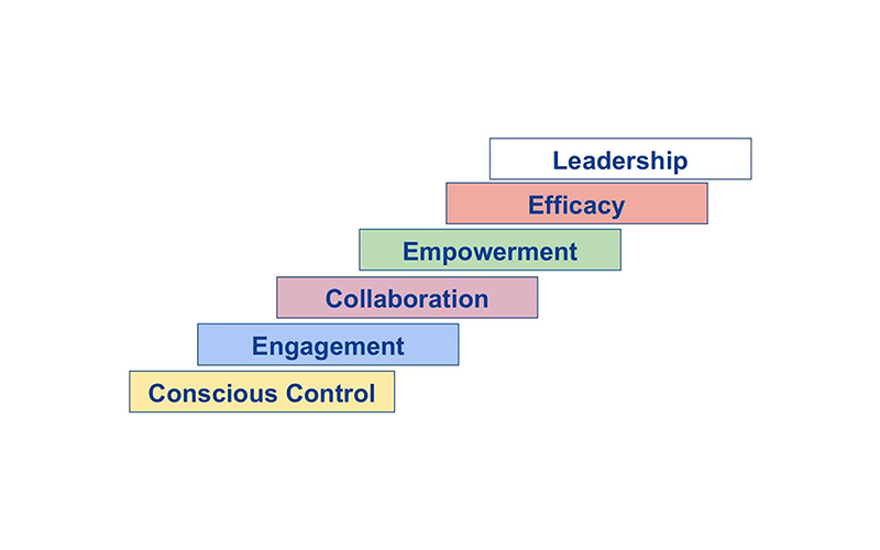 Executive Function and SEL: Skills for Life