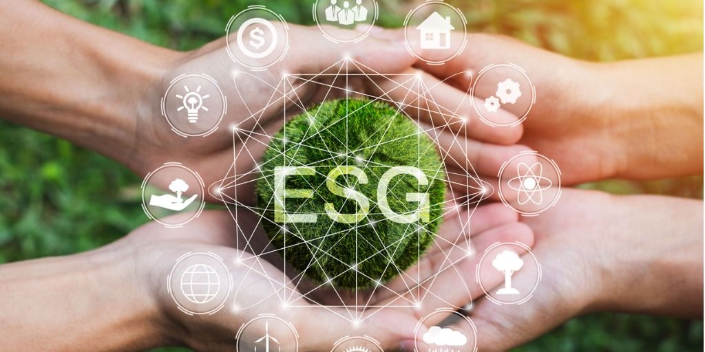 ESG advisory teams exist to help companies who have neither the time nor the resources to build an in-house corporate sustainability team. 