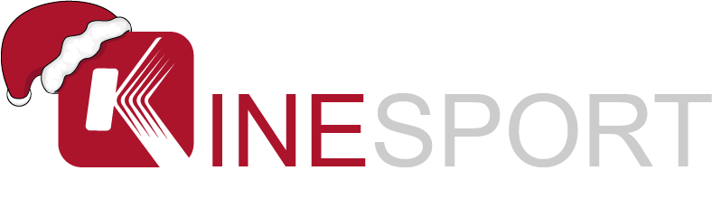 Logo Kinesport