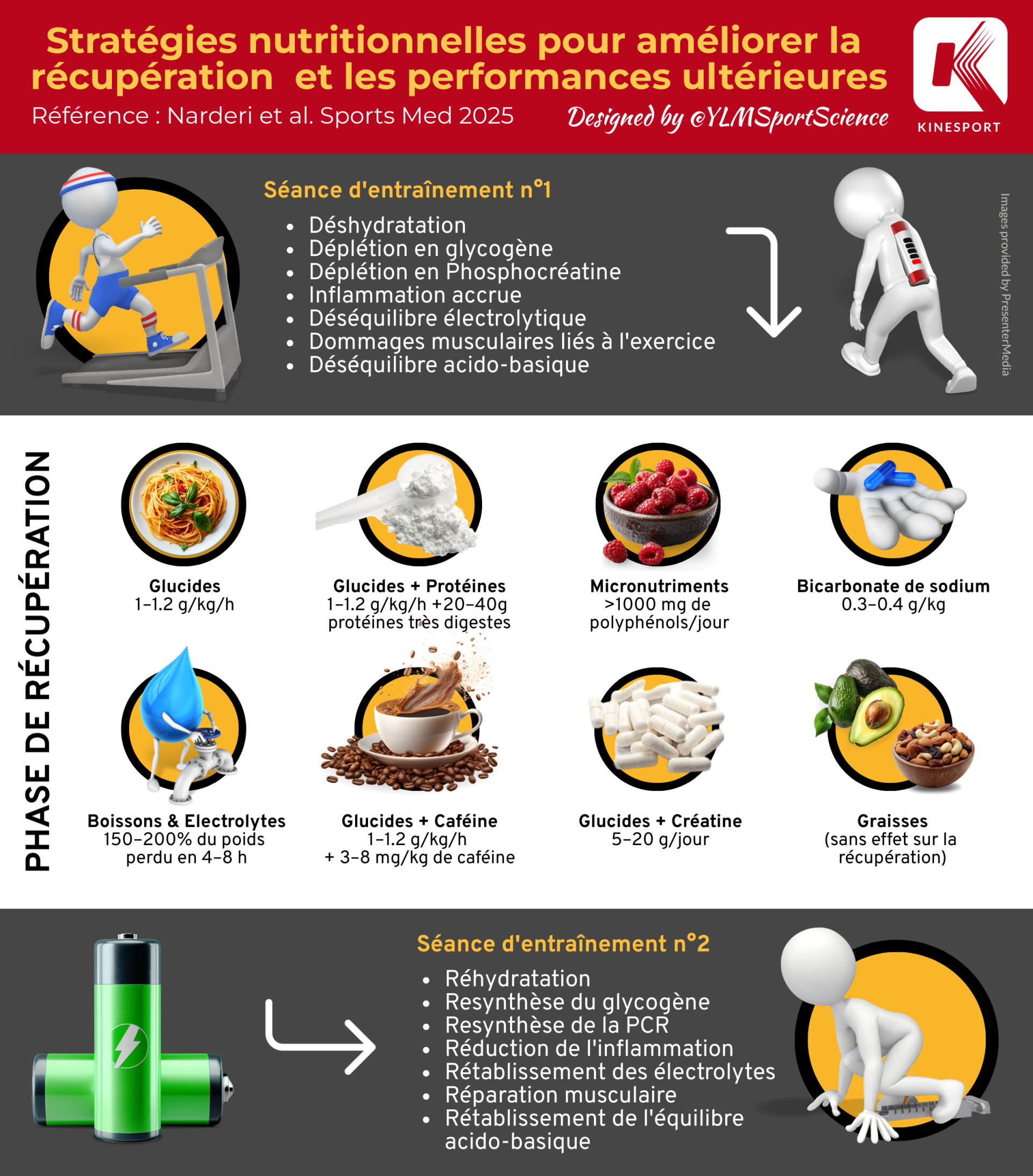 Infographie Ischio Jambiers