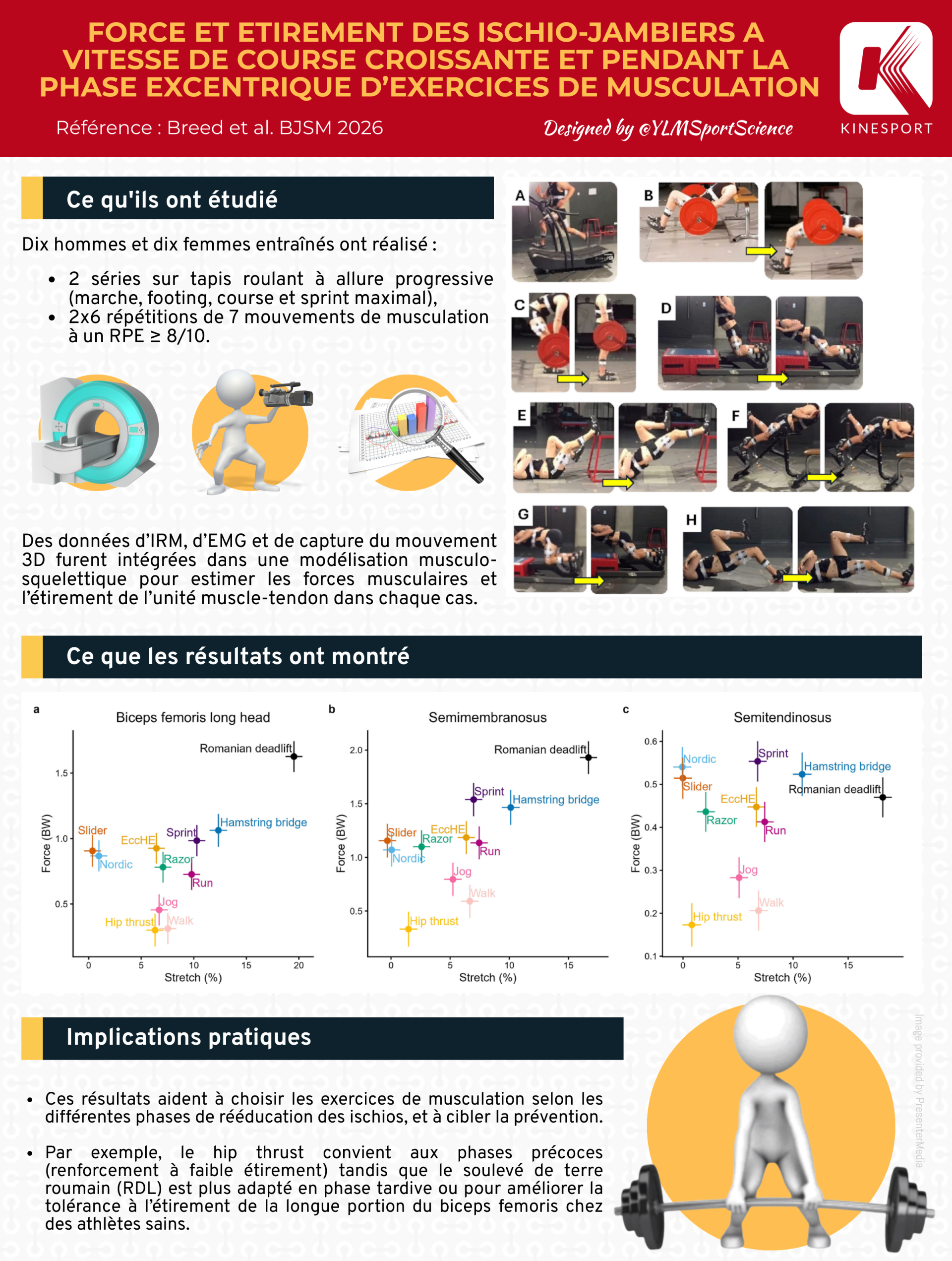 Infographie sur les étirements de l'ischio jambier