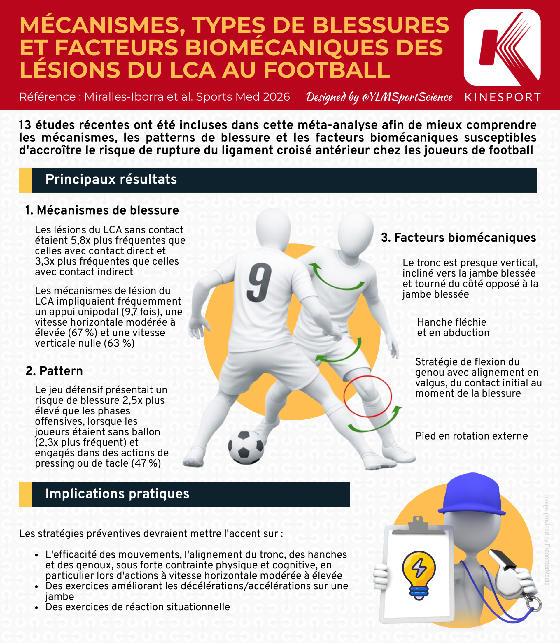 Infographie Ischio Jambiers