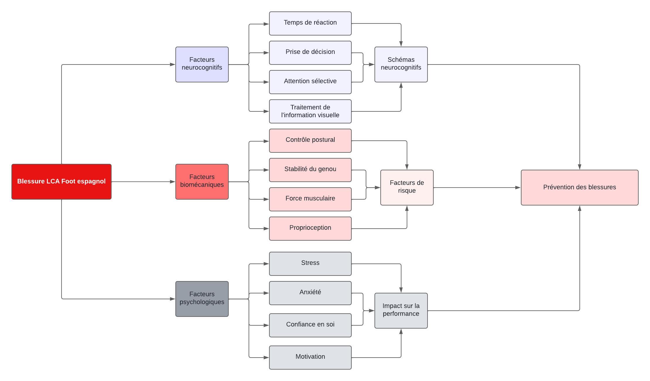 Carte mentale des facteurs liés aux blessures du LCA dans le football espagnol