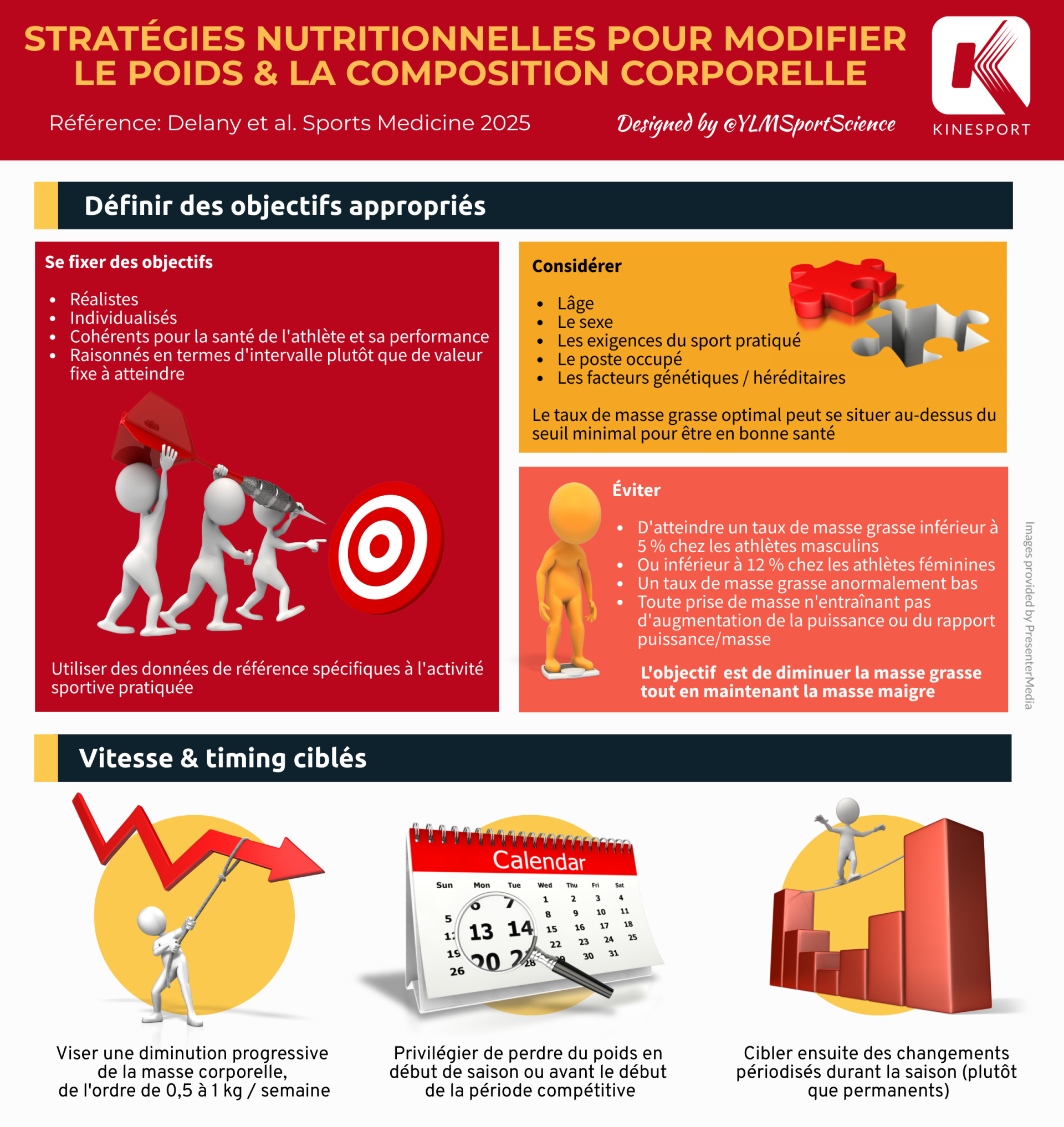 Infographie sur les étirements de l'ischio jambier