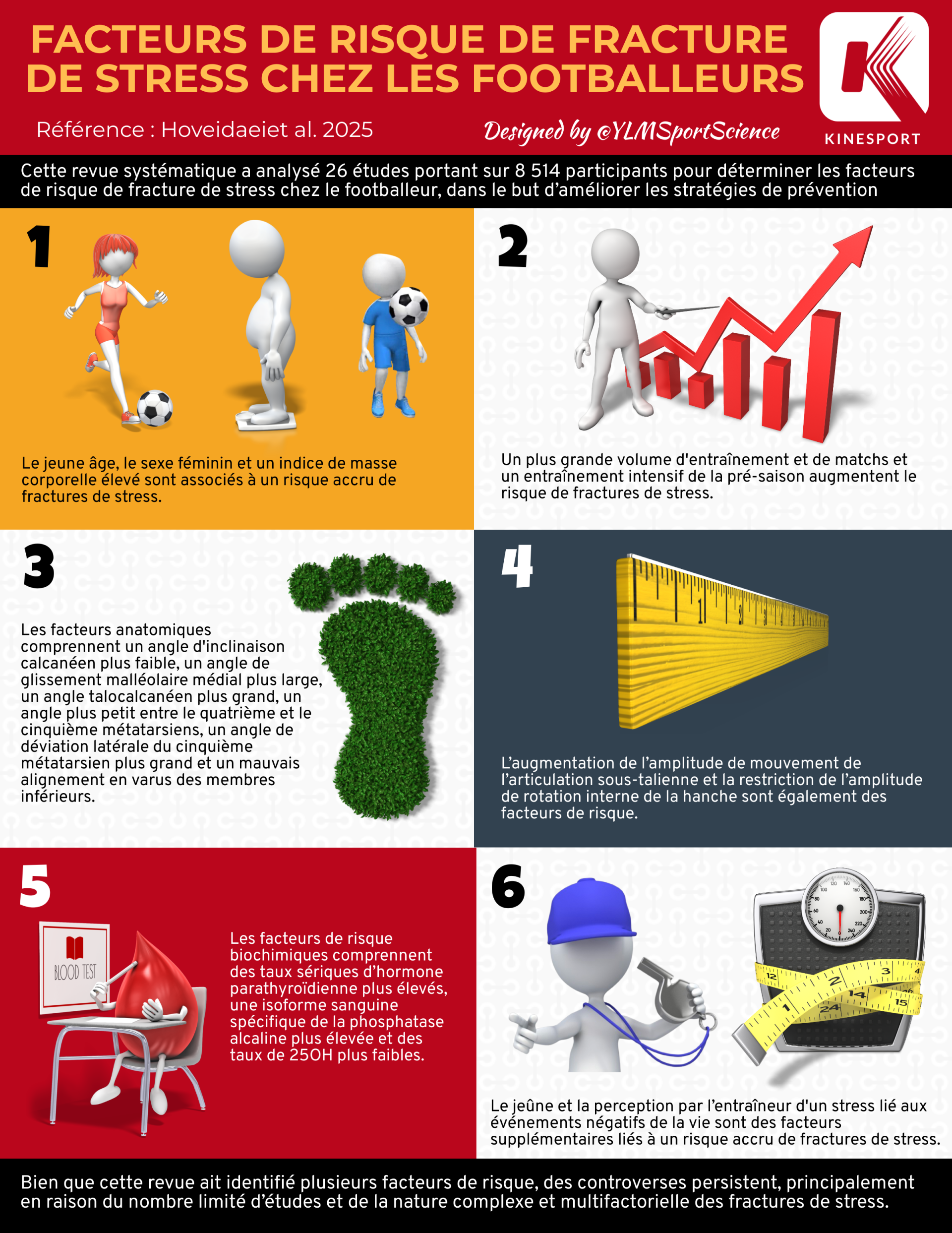 Infographie Ischio Jambiers