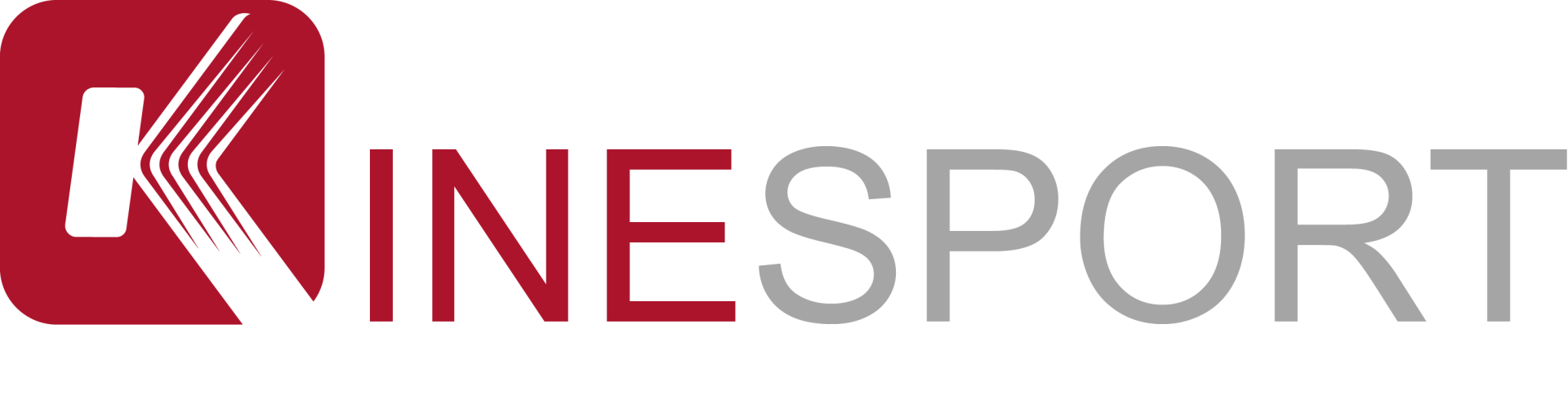 Logo Kinesport