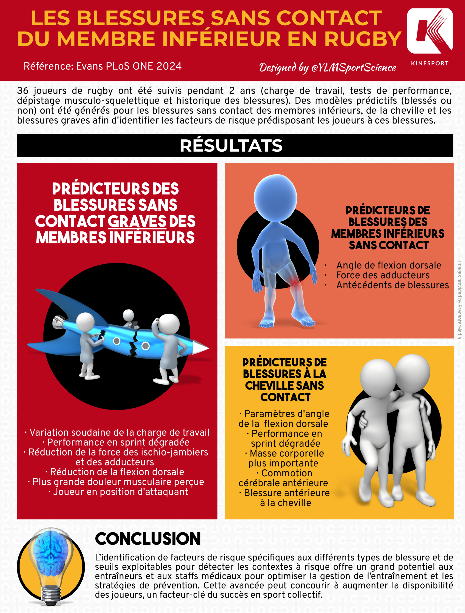 Infographie sur les étirements de l'ischio jambier