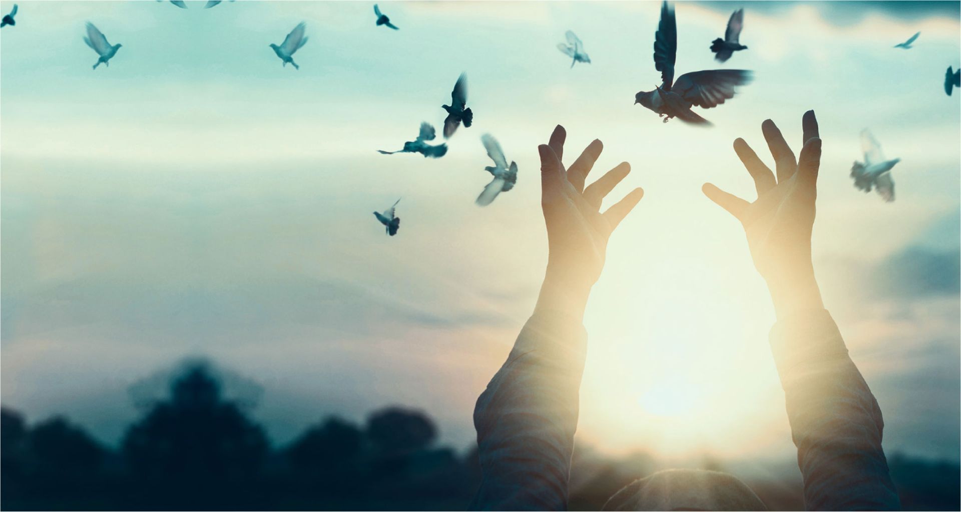 Kingdom Living community — a new path opening