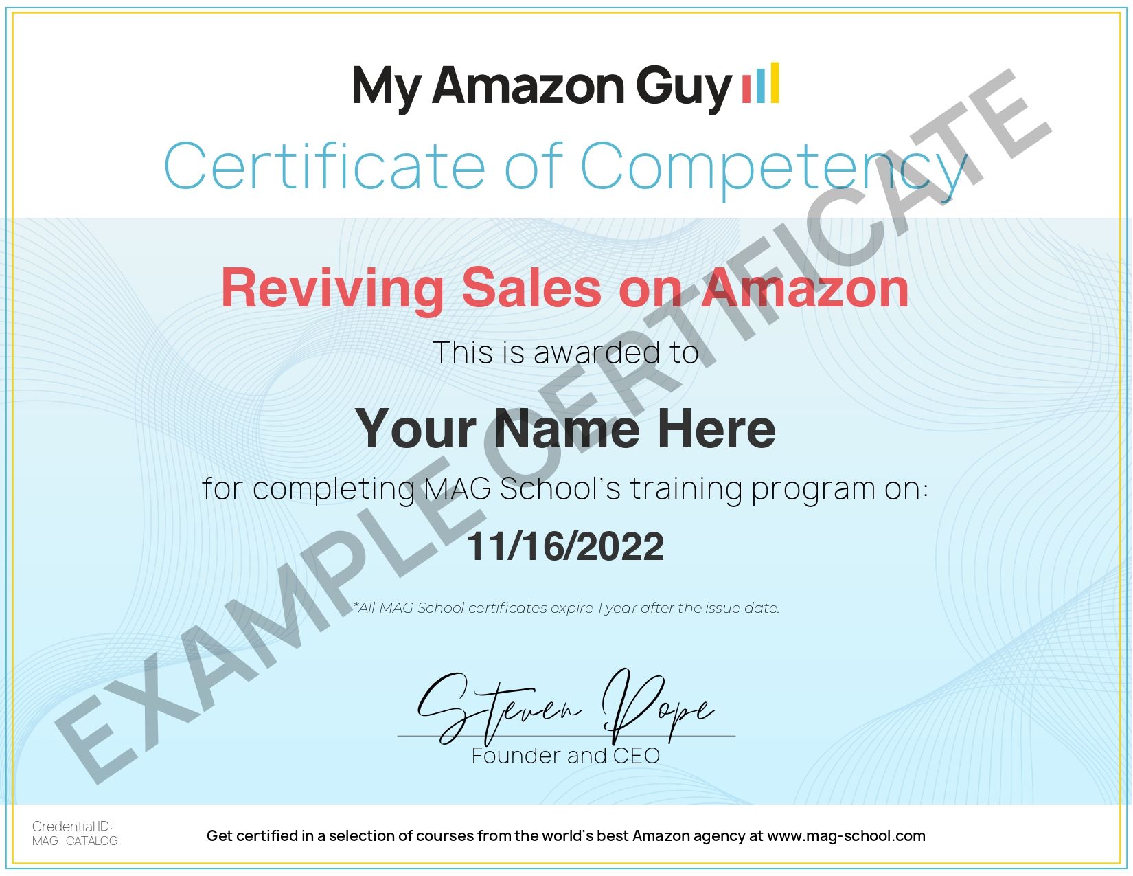 Reviving Sales on Amazon Course