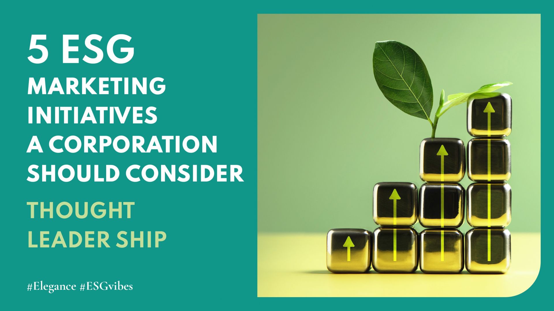 Five ESG Marketing Initiatives A Corporation Should Consider