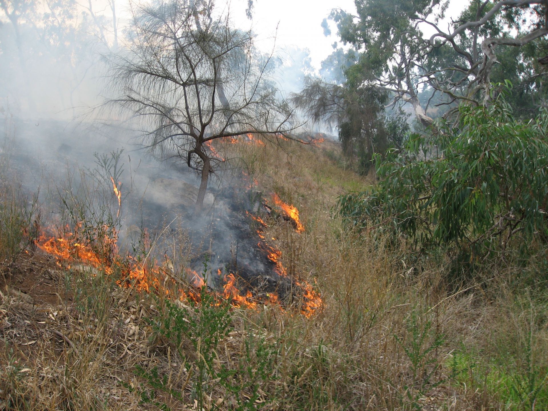 climate-change-and-local-government