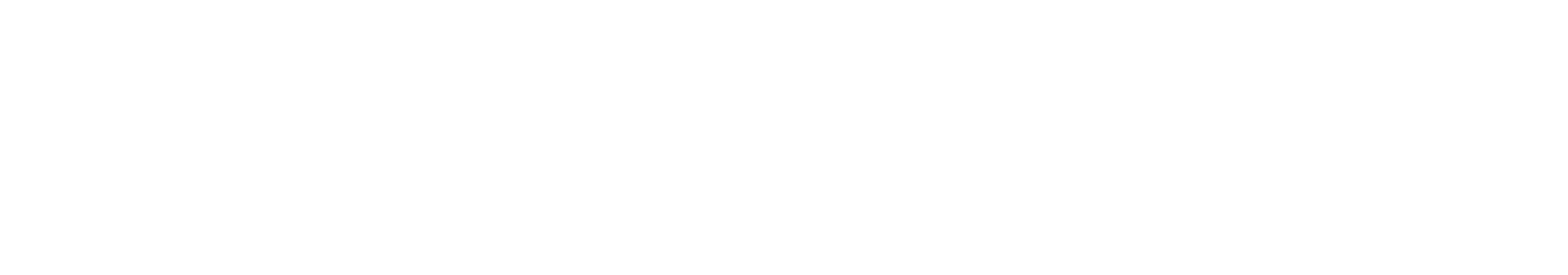 Nexudus Logo