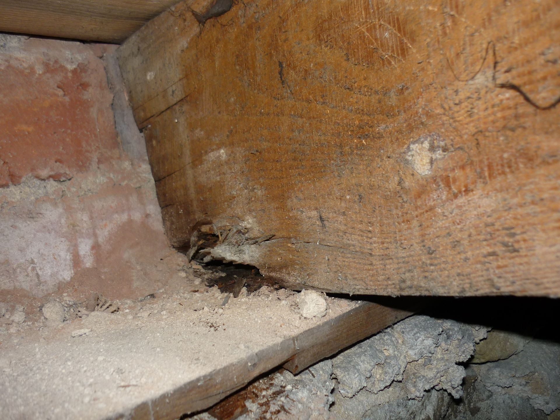 Wood Decay in Building: Causes and Cures