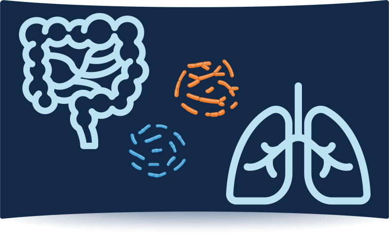 powering the immune system