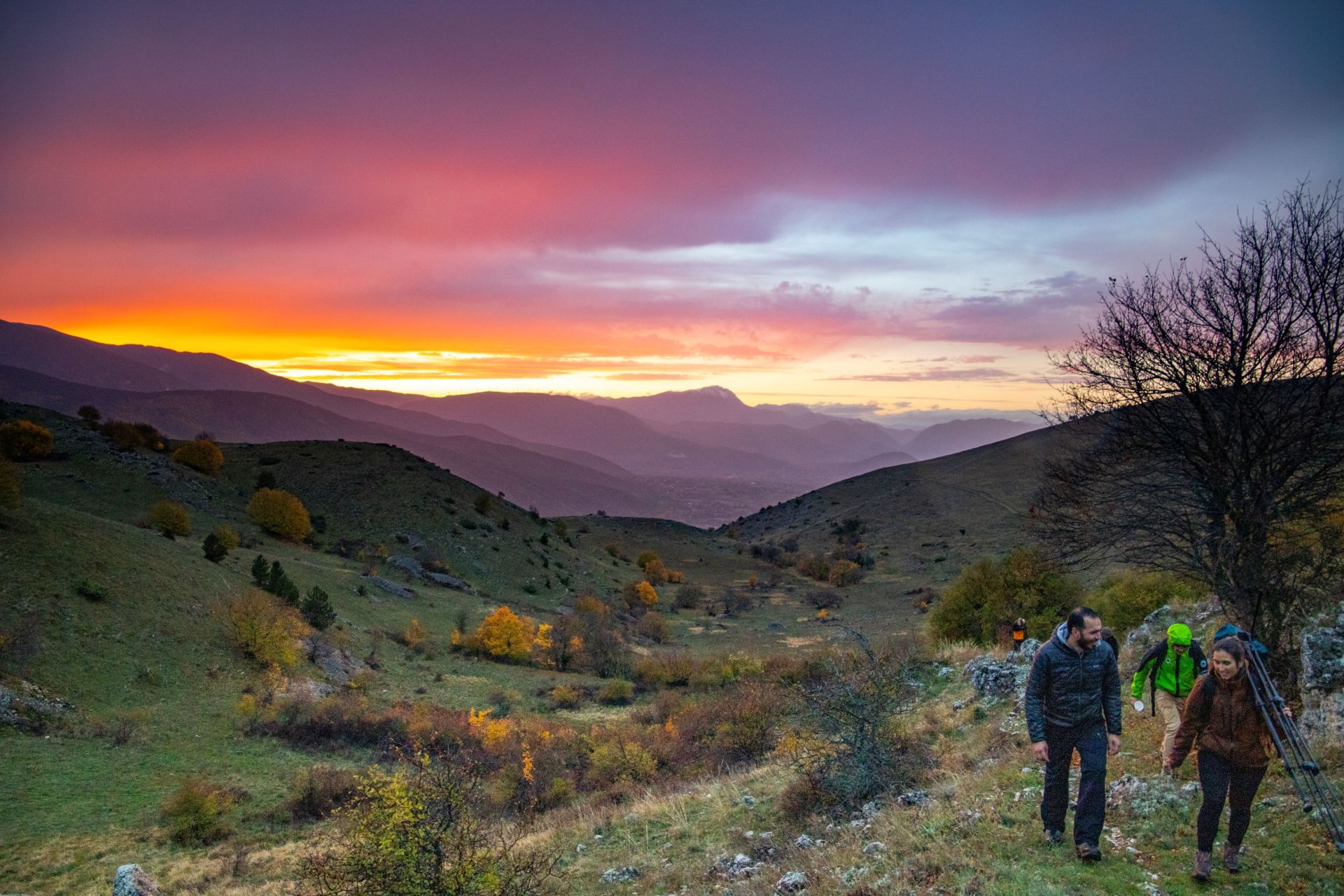 Wilding Course Introduction to Rewilding