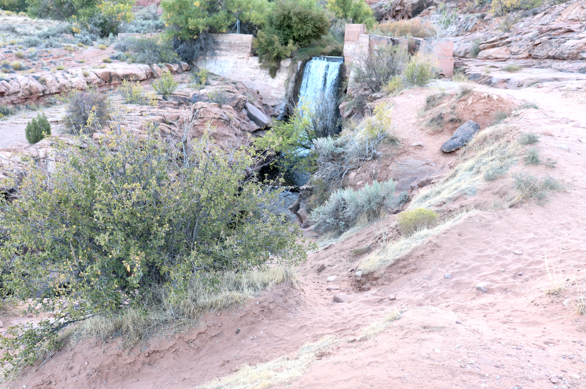 DIY Low-Tech Erosion Control: Self-Paced Permaculture