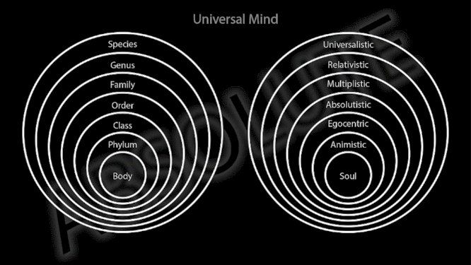 A 16:9 Old Master oil painting in the style of Rembrandt, depicting nine symbolic objects of governance in three distinct clusters on a dark, moody background with no metallic effects. The first cluster represents Ancient Rome with a bundle of wooden fasces, a stone tablet engraved "SPQR," and a shadowy silhouette of a crowd. The second cluster represents the Three Estates with a fabric miter and shepherd's crook, a steel sword and plumed hat, and a weathered wooden plow. The third cluster represents the US Trias Politica with a heavy wooden gavel, a quill on a parchment scroll, and a wax-sealed document with a presidential eagle. The lighting is warm and directional, emphasizing textures of wood, stone, and paper.