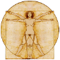 The Vitruvian woman icon