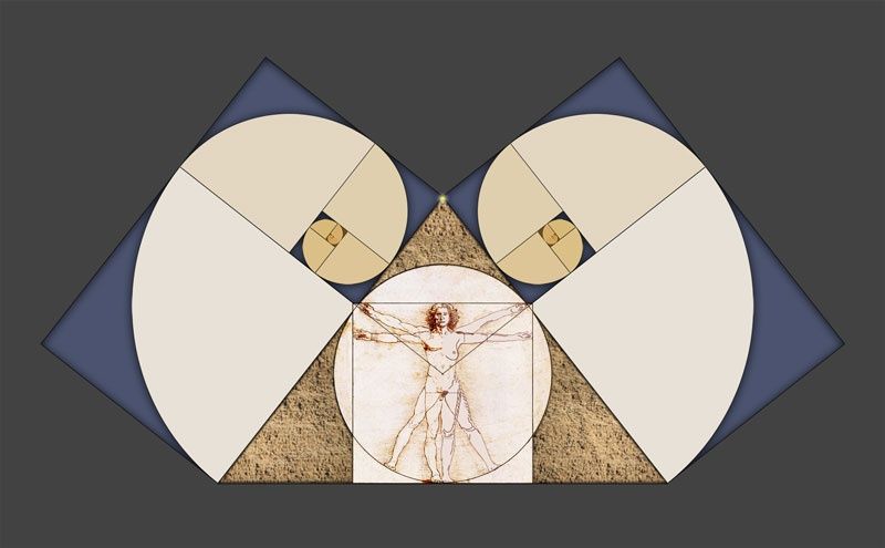 A composite image of the Vitruvian Man integrated with the geometry of the Great Pyramid. The figure is split into male and female halves to represent humanity, framed by golden ratio spirals and a pyramidion apex, illustrating the concept that the human body is a golden temple and a bridge between worlds.