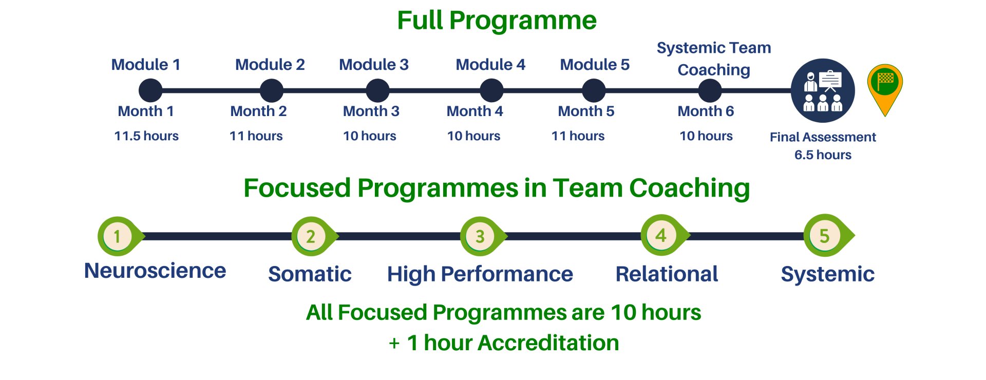 A roadmap of full programme and focused programmes of Integrative team coaching of Sandown Business School.