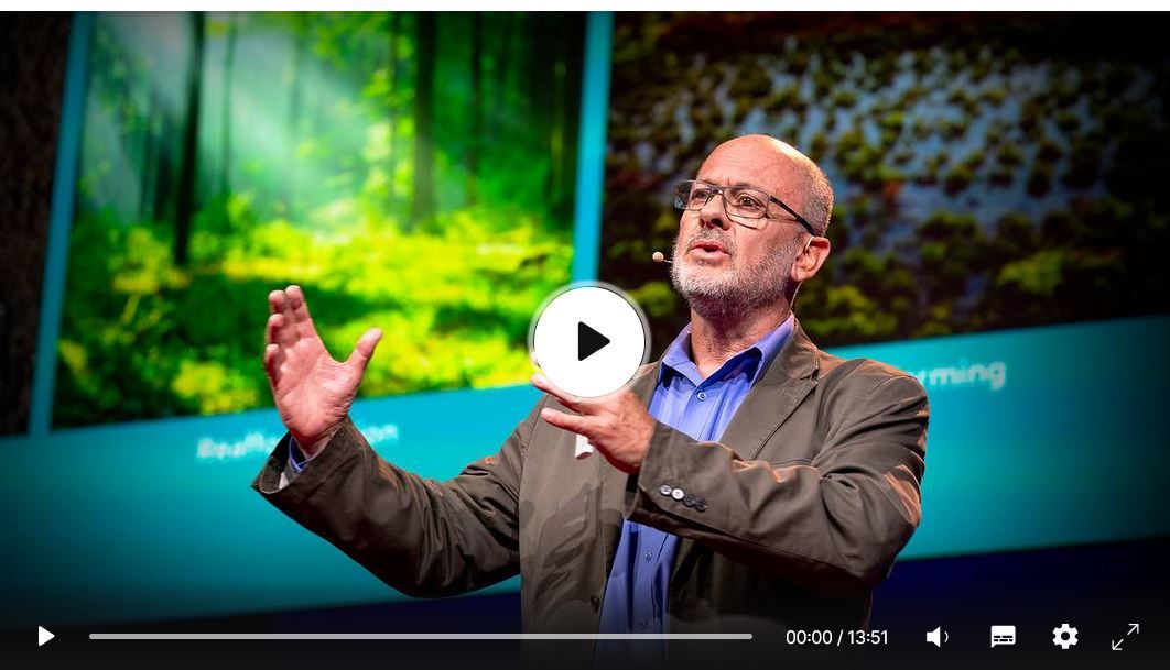 Can seaweed solve the climate crisis? – Tim Flannery thinks it can