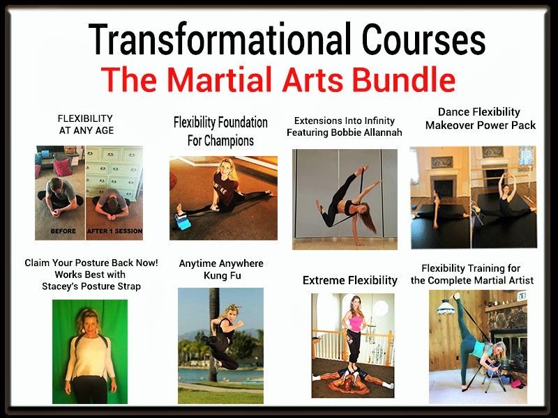 Flexibility Master Class Series for Martial Artists & Performers