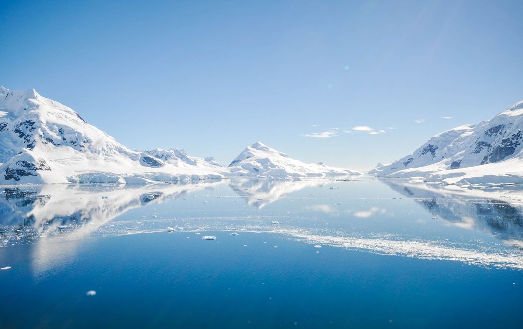 Arctic Samples