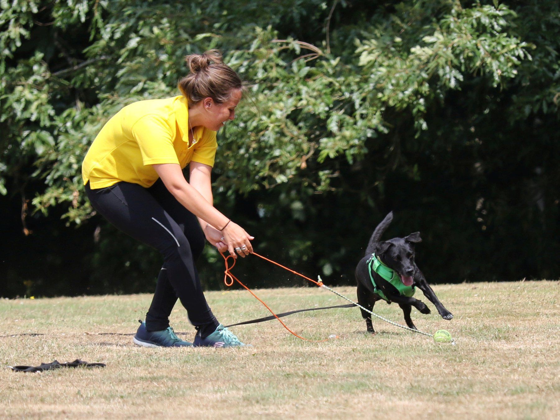 Clients and Sport Dog Training