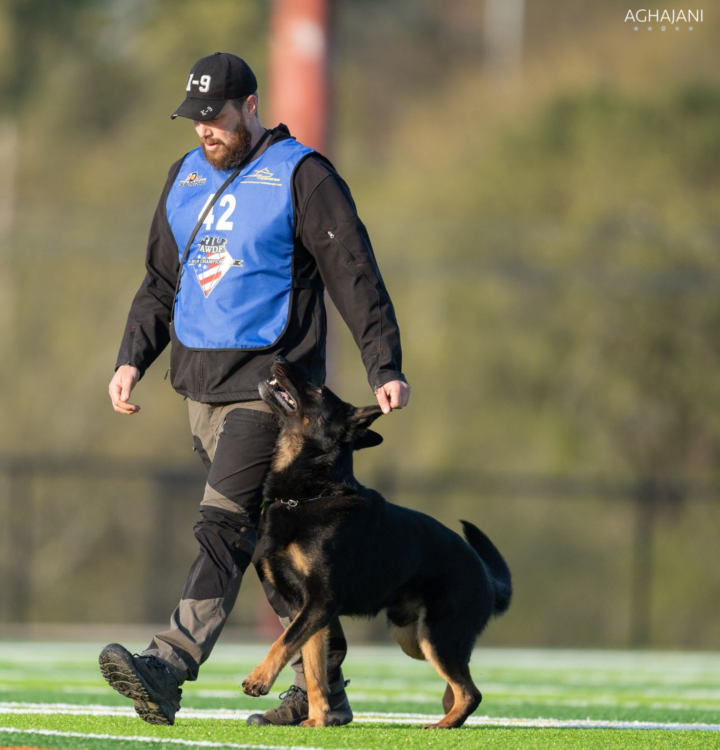 Schutzhund store dog training