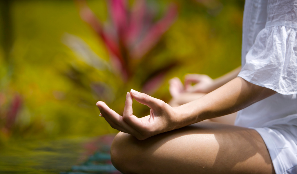 クリヤーヨーガWS Shraddhaa Yoga Institute 