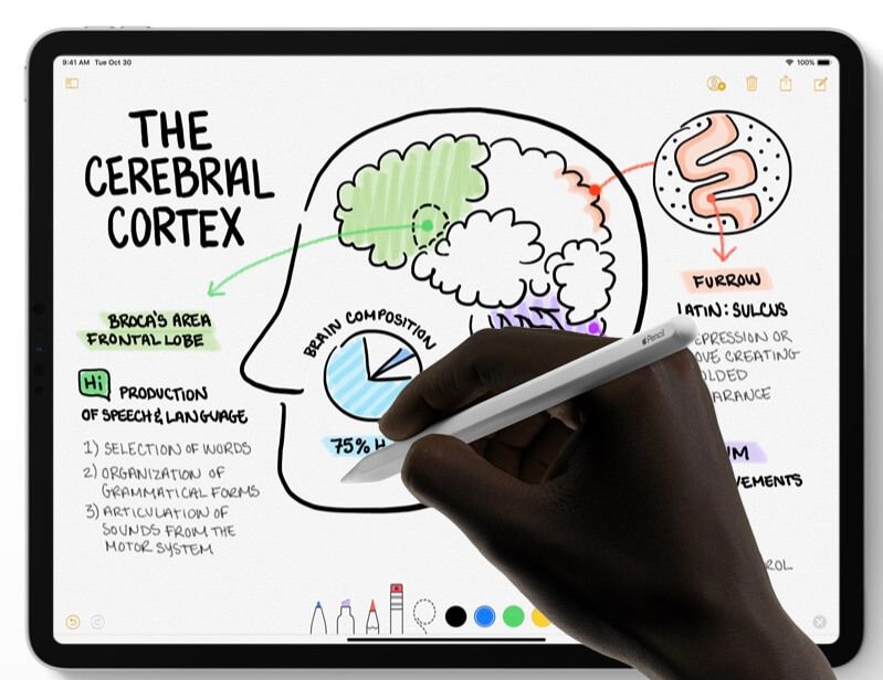student using apple pencil on ipad