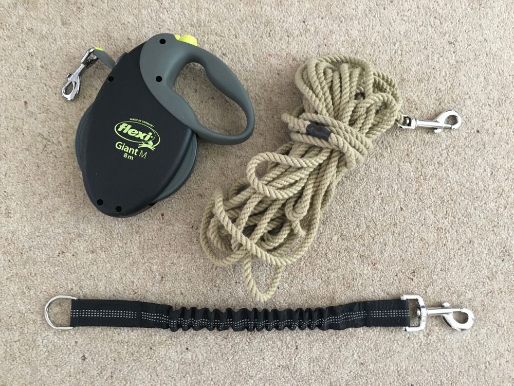 Retractable leads vs. Long lines