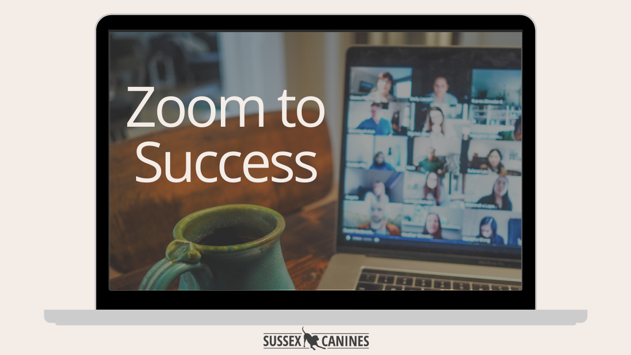 Zoom to Success Membership has launched!