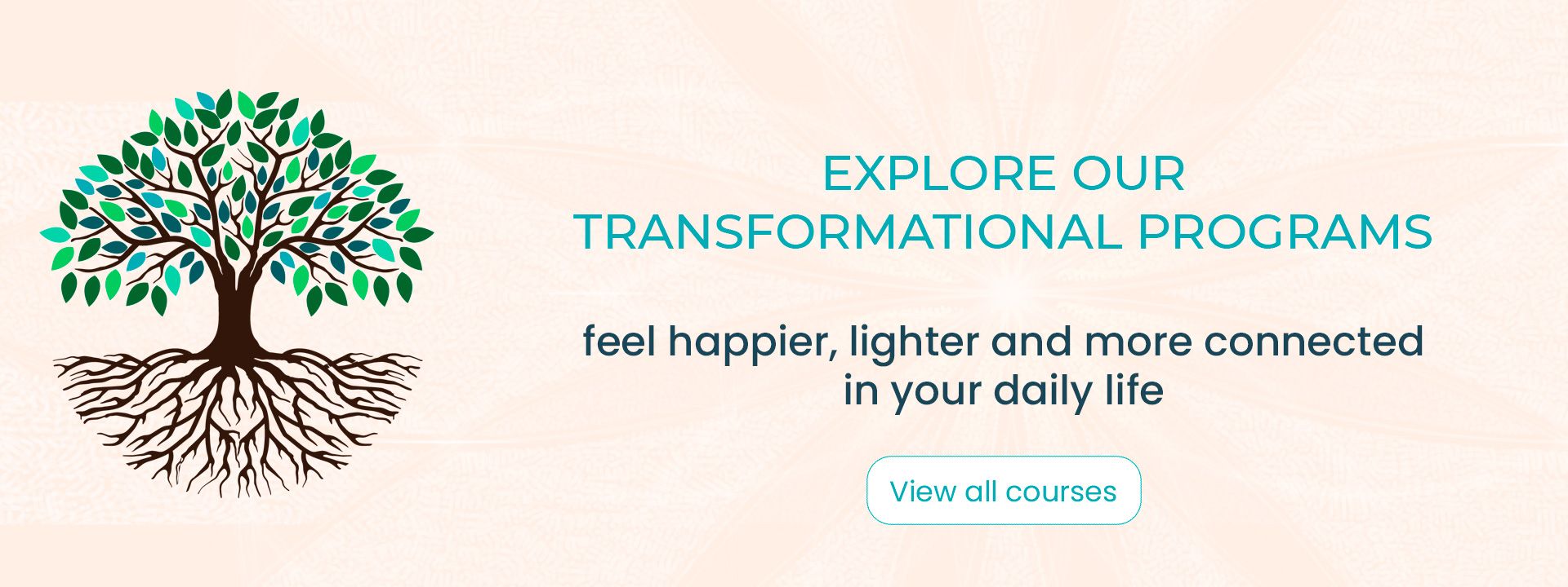 Explore our transformational programs