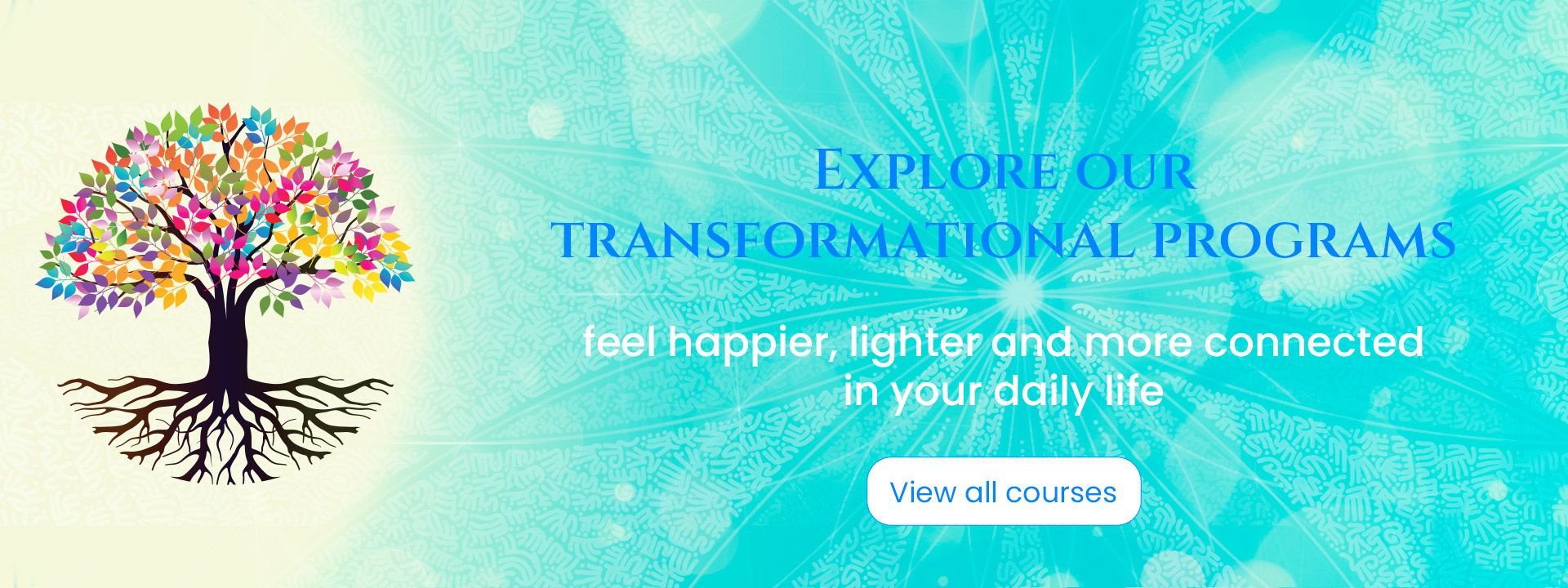 Explore our transformational programs