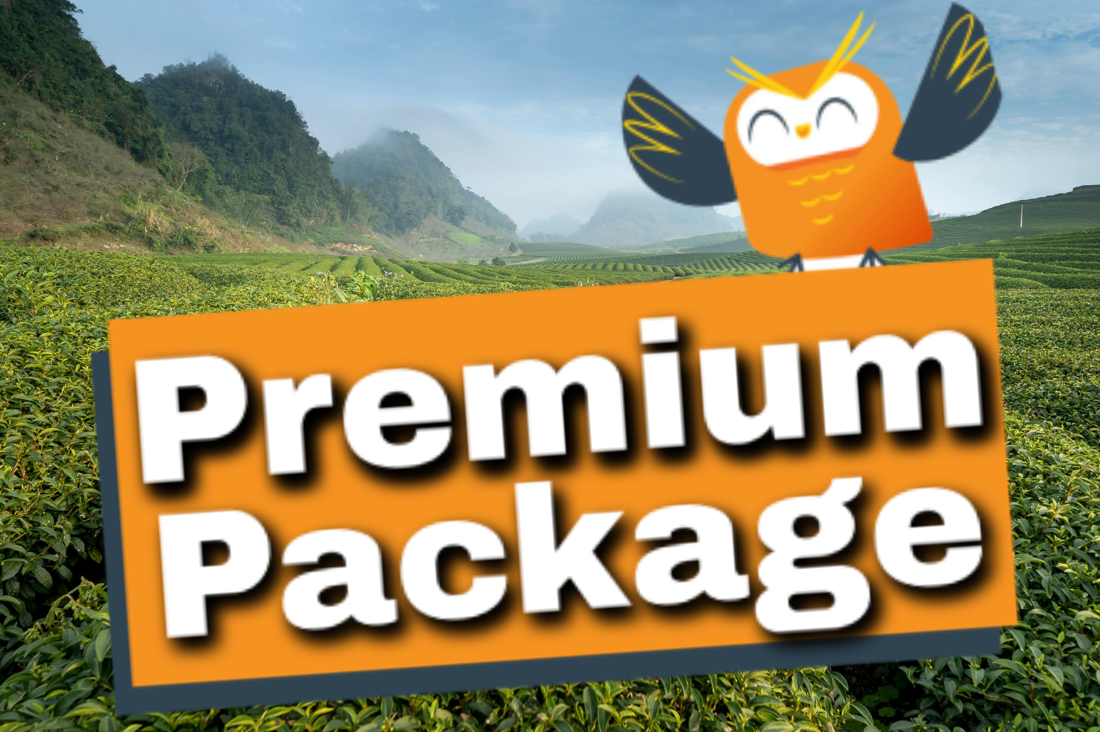 Premium Package Irish