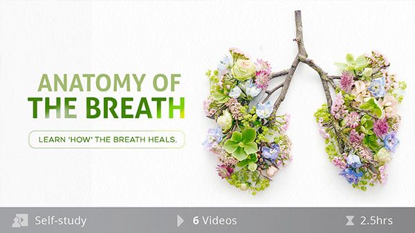 The Anatomy of the Breath