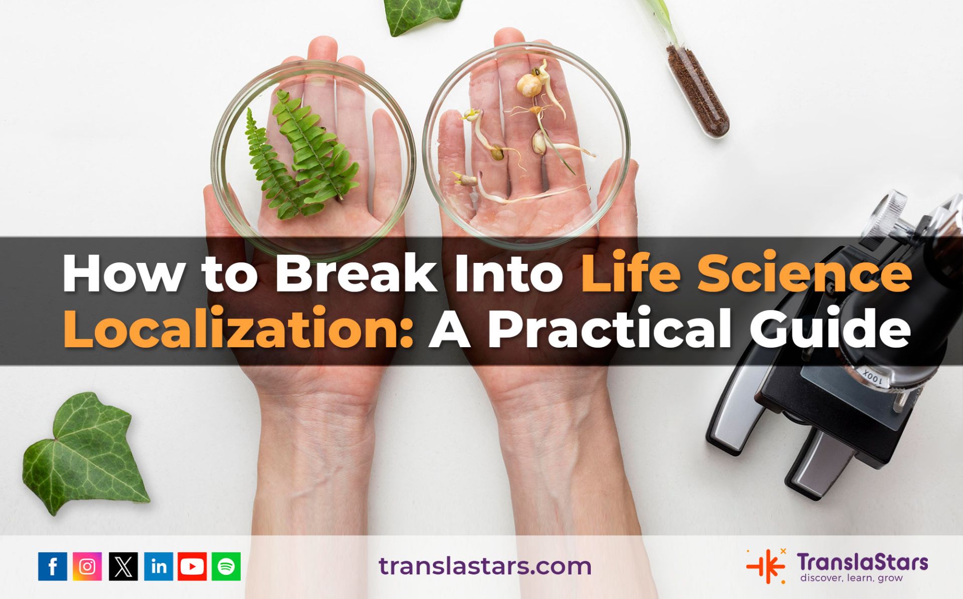 How to Break into Life Sciences Localization