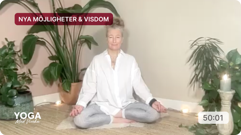 Meditation med Viveka - Nya möjligheter & visdom - dag 18