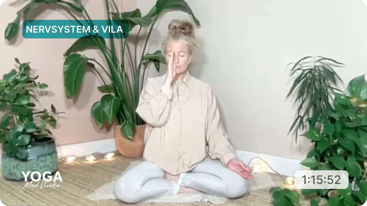 Yogaklass med Viveka - Nervsystem & vila - Förbränning, cirkulation & avslappning