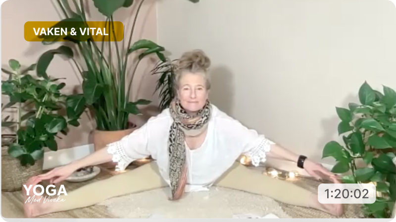 Yogaklass med Viveka - Fysisk och psykisk flexibilitet. Tema: vaken och vital