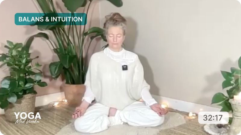 Meditation med Viveka - Kirtan Kriya dag 40