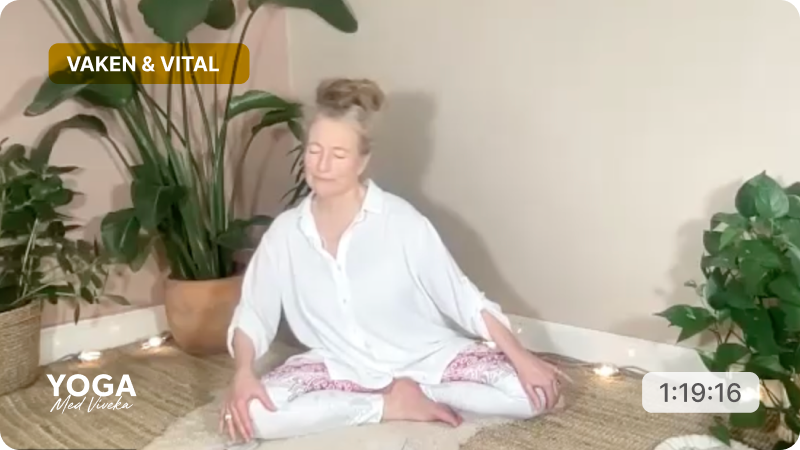 Yogaklass med Viveka - Lyssna till din kropp. Tema: vaken och vital