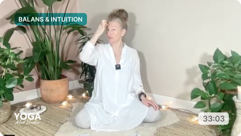 Meditation med Viveka - Balans & Intuition