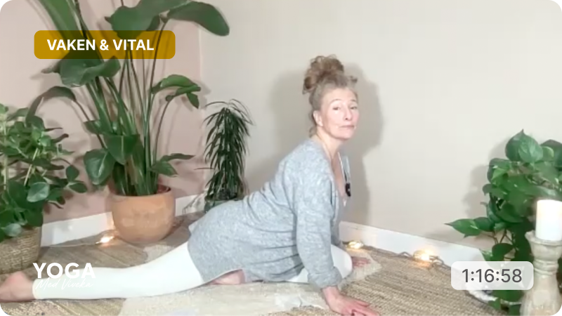 Yogaklass med Viveka - Stadigt fokus & stilla närvaro. Tema: vaken och vital